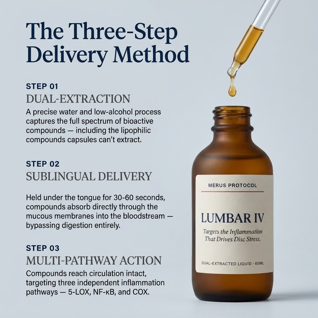 Lumbar IV - Targeted Disc Protocol (Copyyyyyyyyyy)